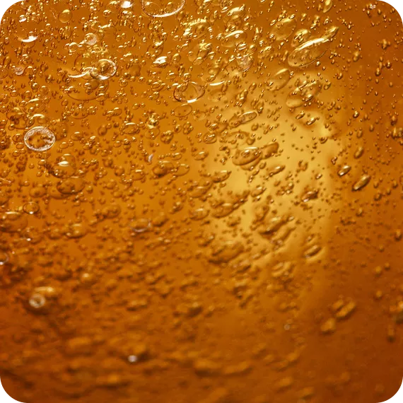 Brass’Hop Bio - Bière